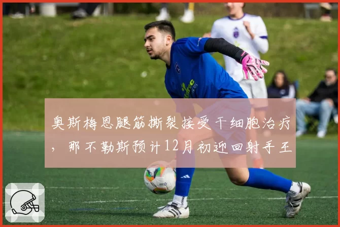 奥斯梅恩腿筋撕裂接受干细胞治疗，那不勒斯预计12月初迎回射手王